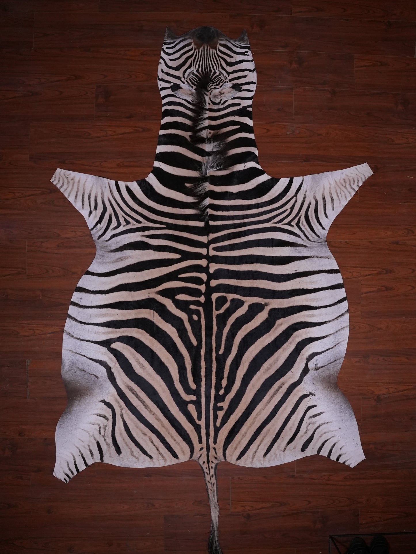 A GRADE ZEBRA HIDE 082 (L)