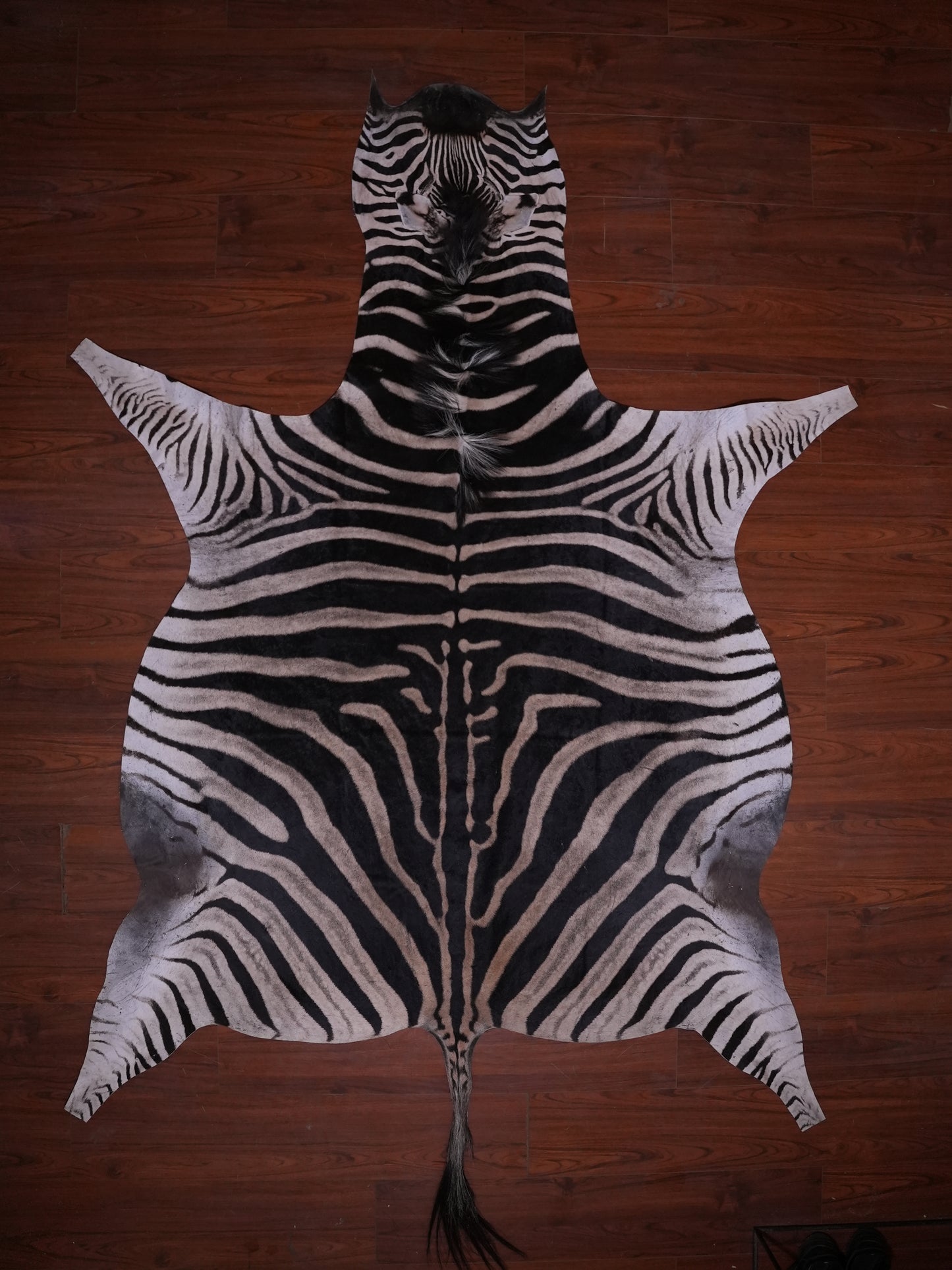 A GRADE ZEBRA HIDE 078 (M)