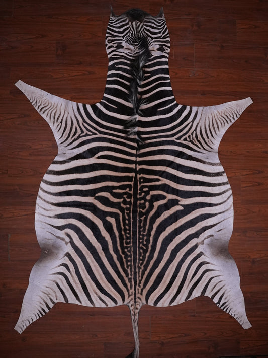 A GRADE ZEBRA HIDE 080 (M)