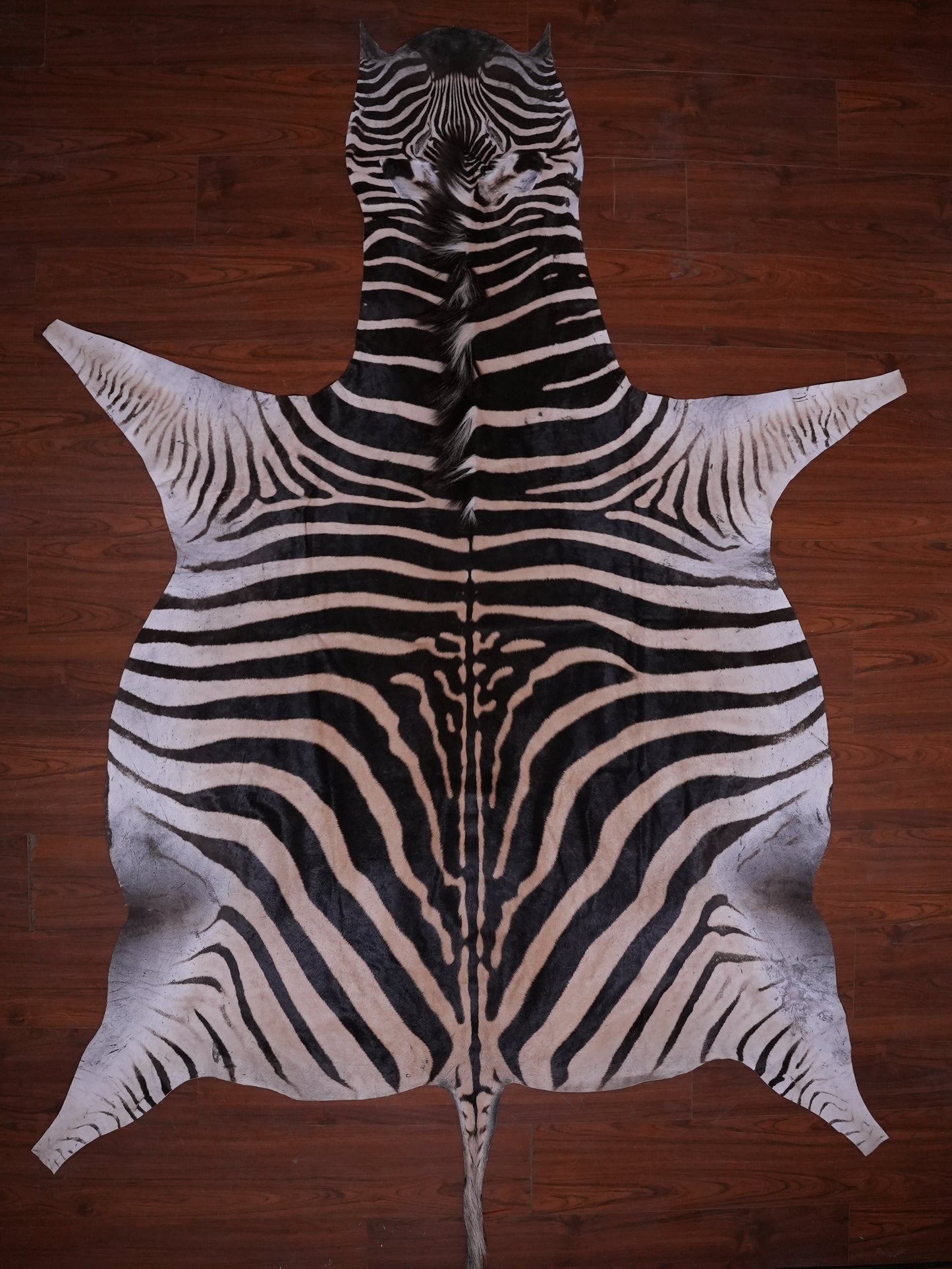 A GRADE ZEBRA HIDE 081 (M)
