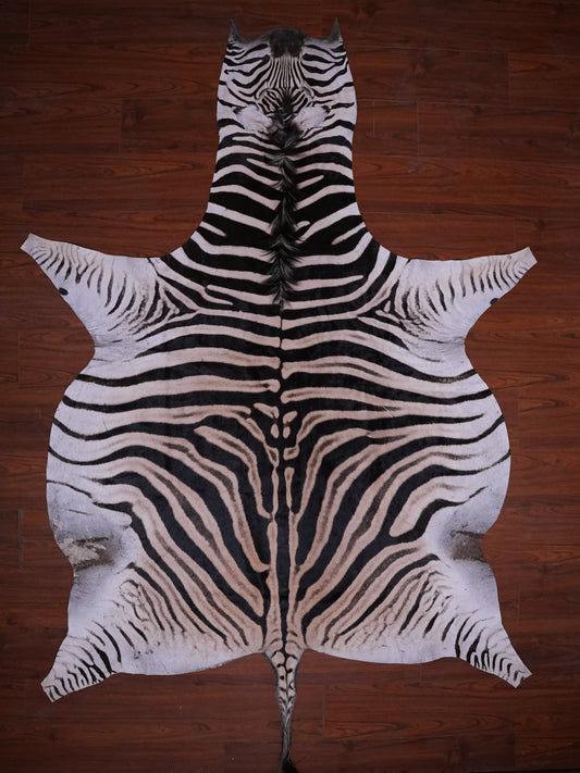 A GRADE ZEBRA HIDE 079 (M)