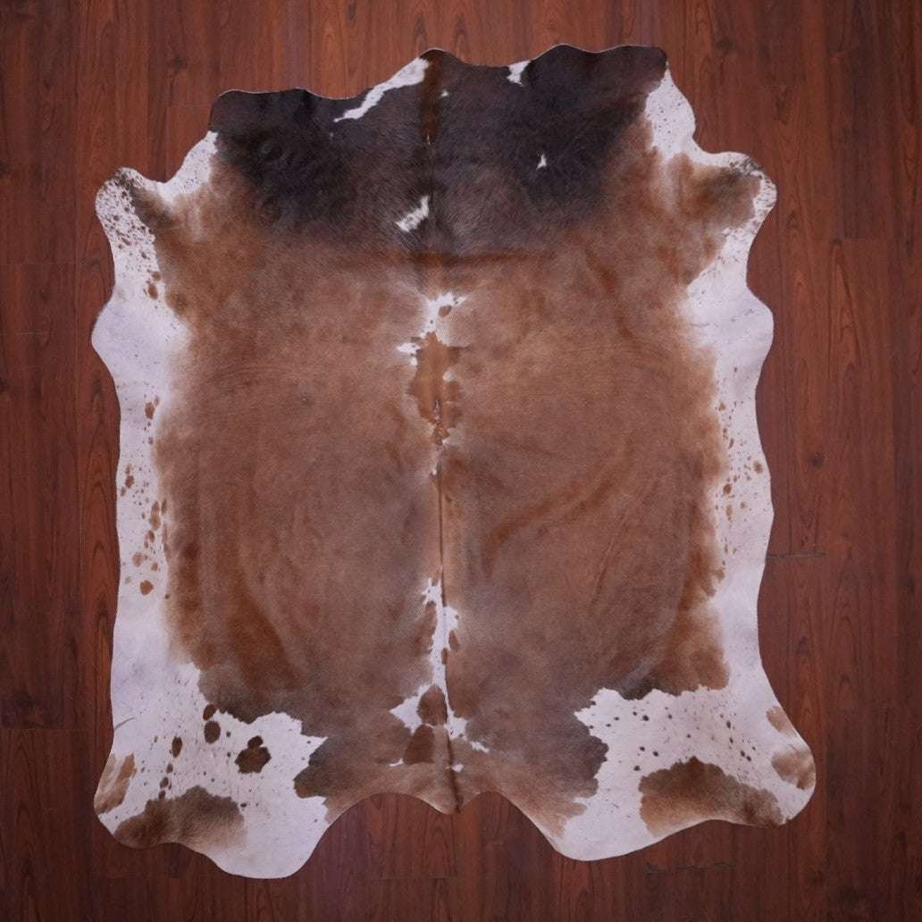 A Grade Nguni Hide 666 (Tricolor) (M)