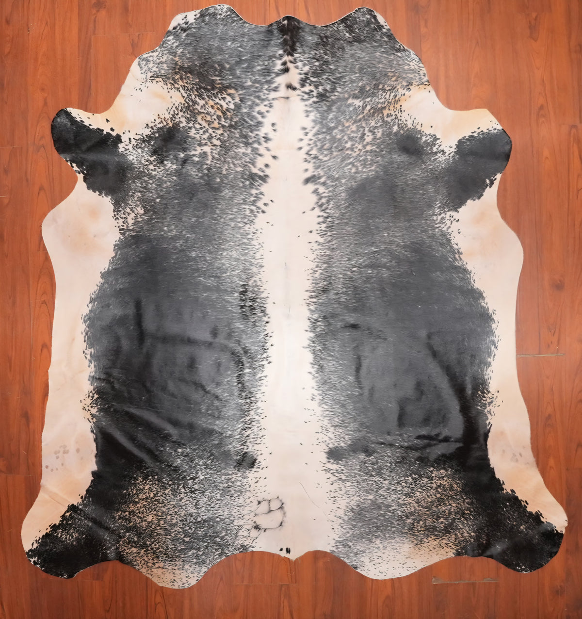 AS Grade Nguni Hide 683 (Black/White) (M)