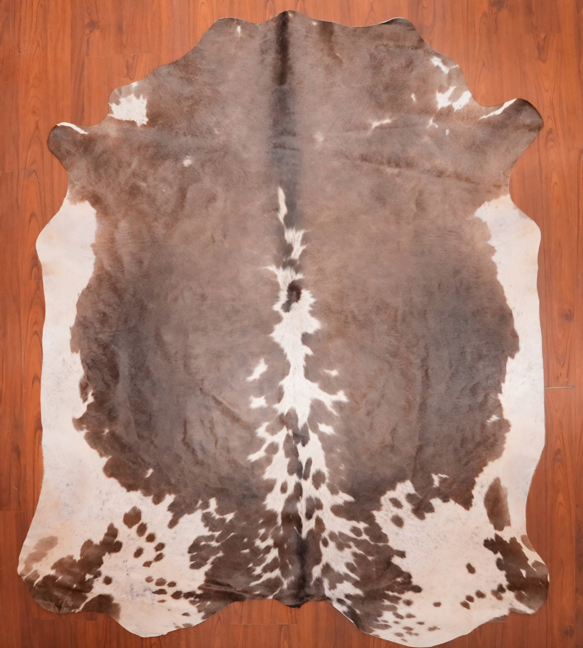AA Grade Nguni Hide 694 (Brown/White) (L)