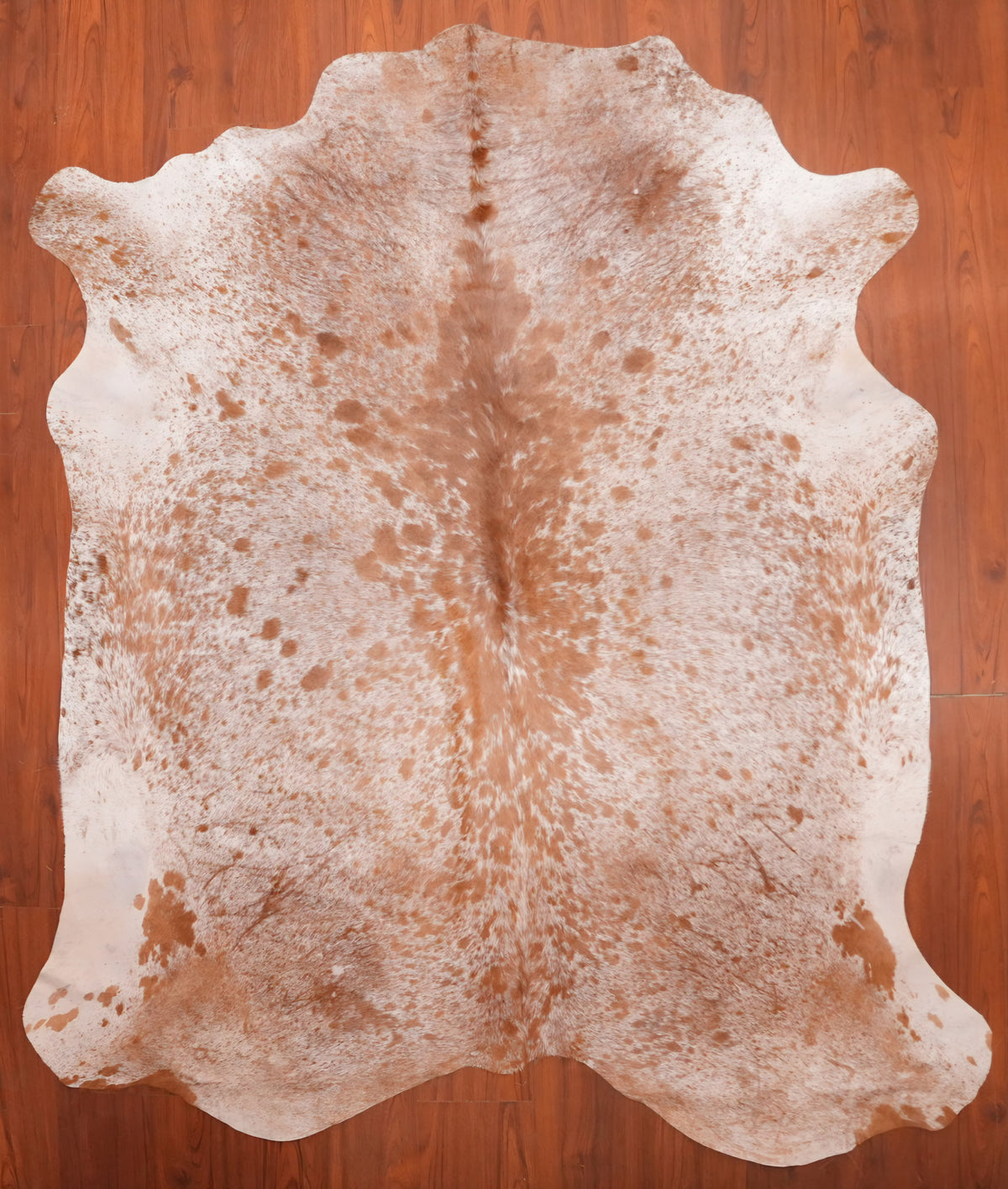 AS Grade Nguni Hide 689 (Brown/White) (XL)