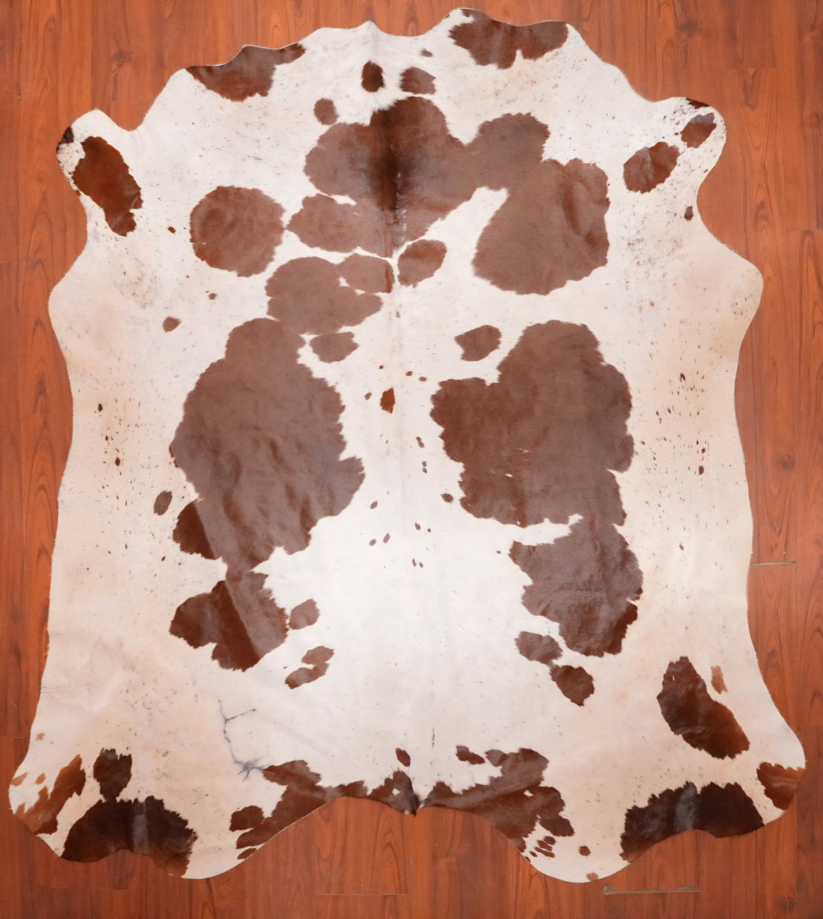 AS Grade Nguni Hide 692 (Brown/White) (L)