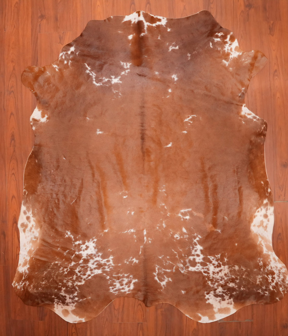 AS Grade Nguni Hide 711 (Brown/White) (M)