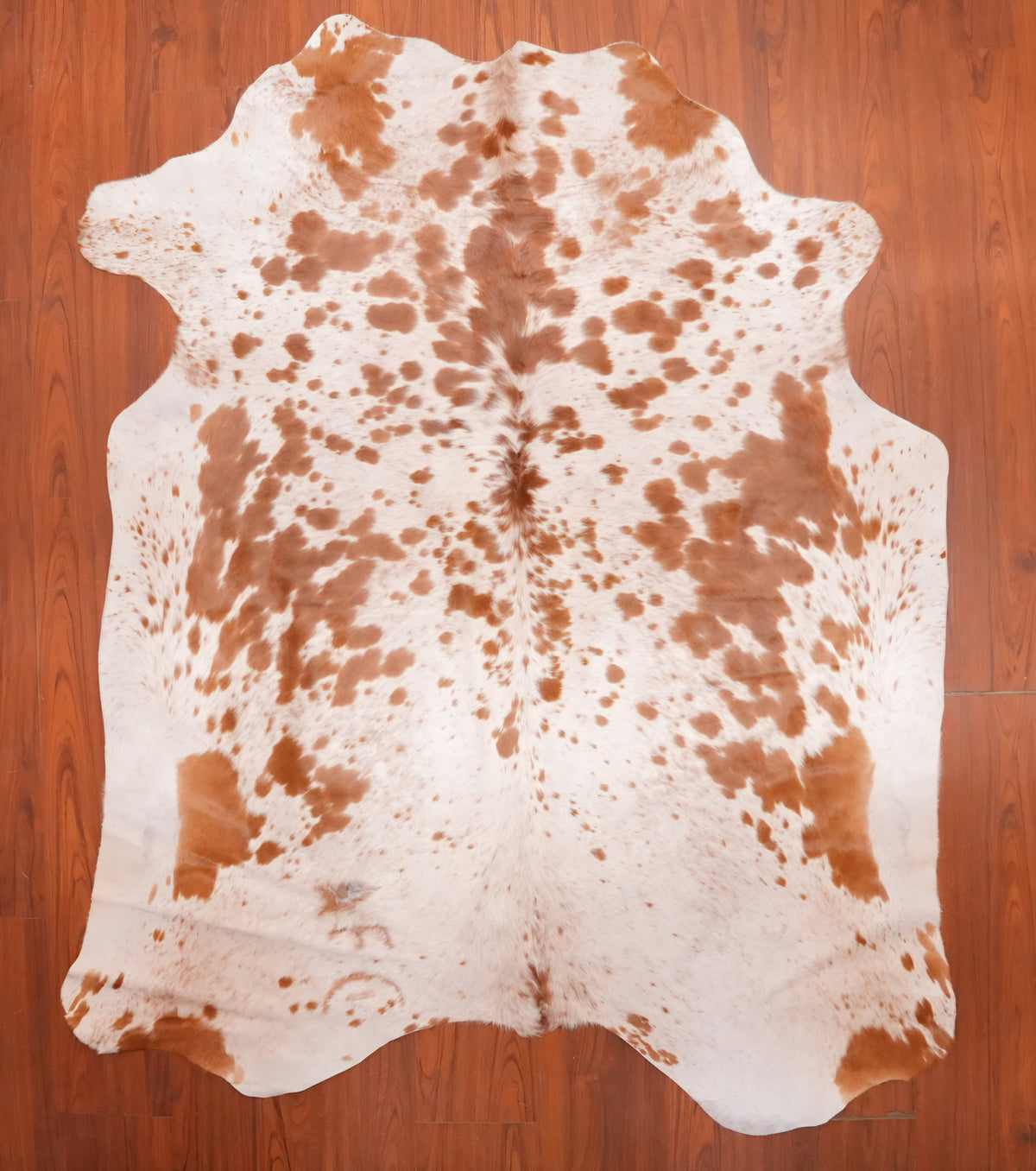 AS Grade Nguni Hide 714 (Brown/White) (M)