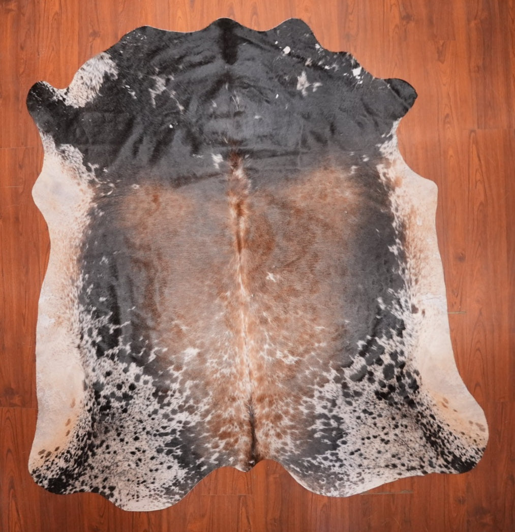 A Grade Nguni Hide 721 (Tricolor) (L)