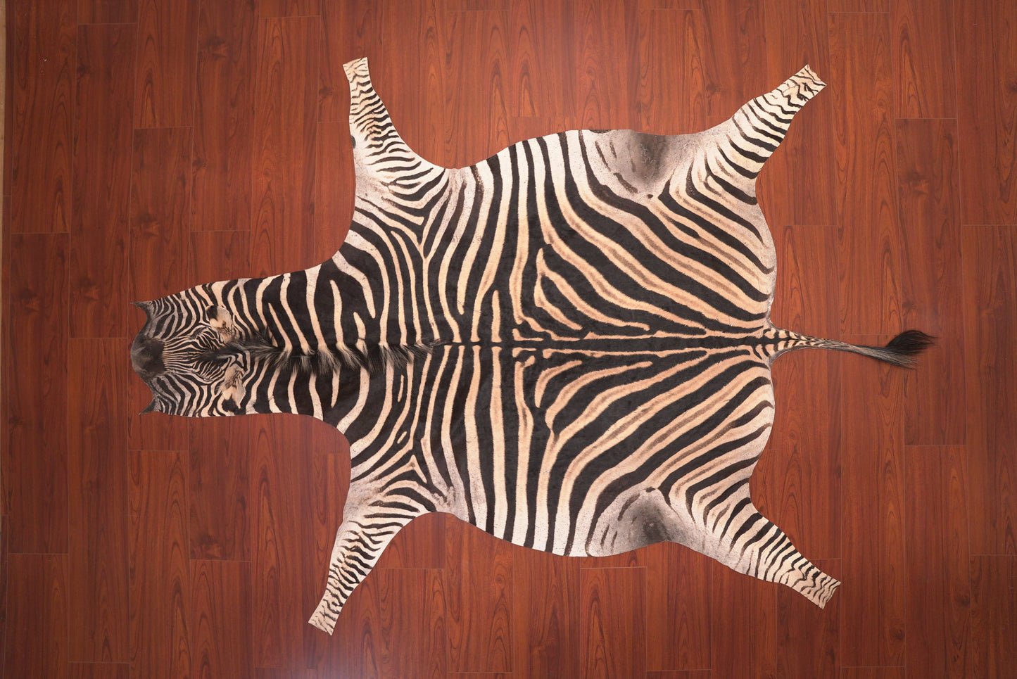 the nguni guy zebra hide rug animal skin carpet