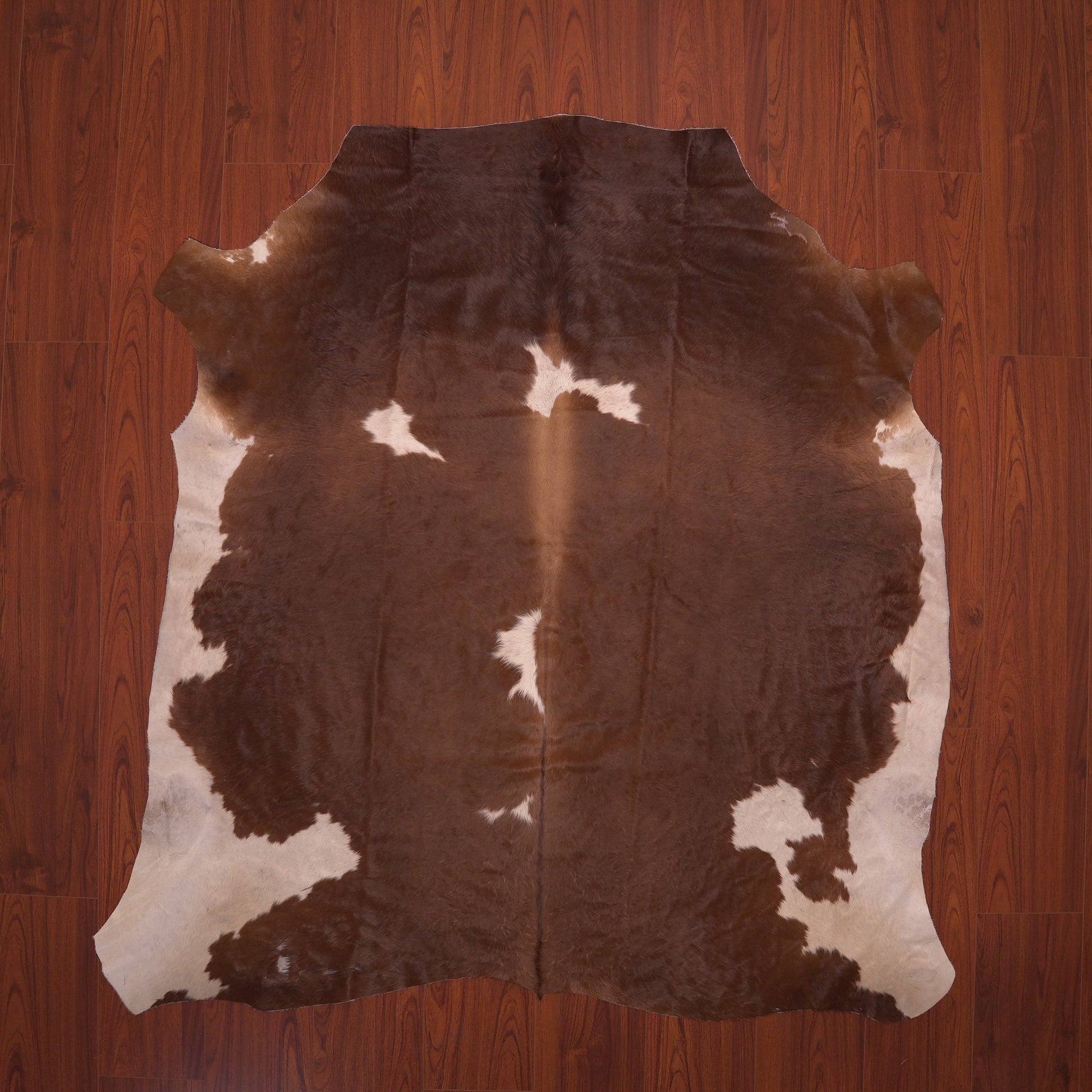 nguni cowhide skin rug brown and white carpet