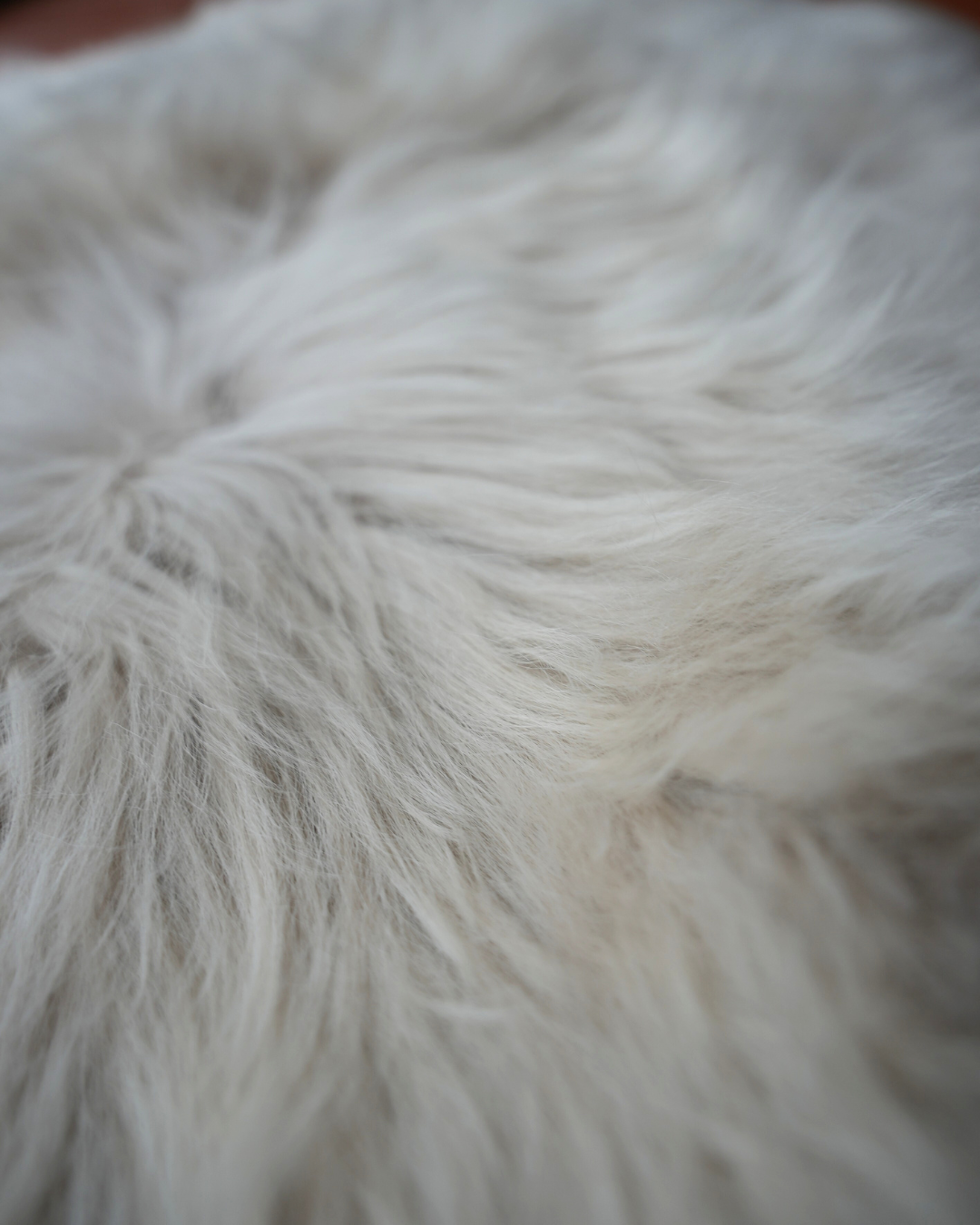 Himalayan Sheepskin