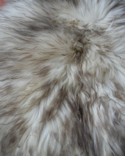 Himalayan Sheepskin