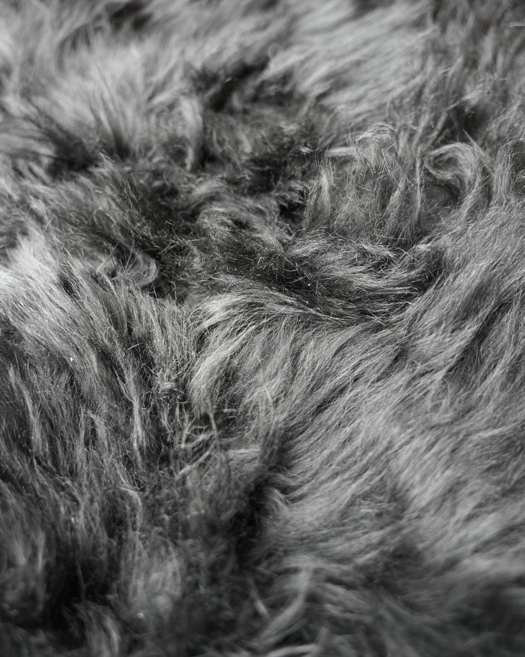 Himalayan Sheepskin