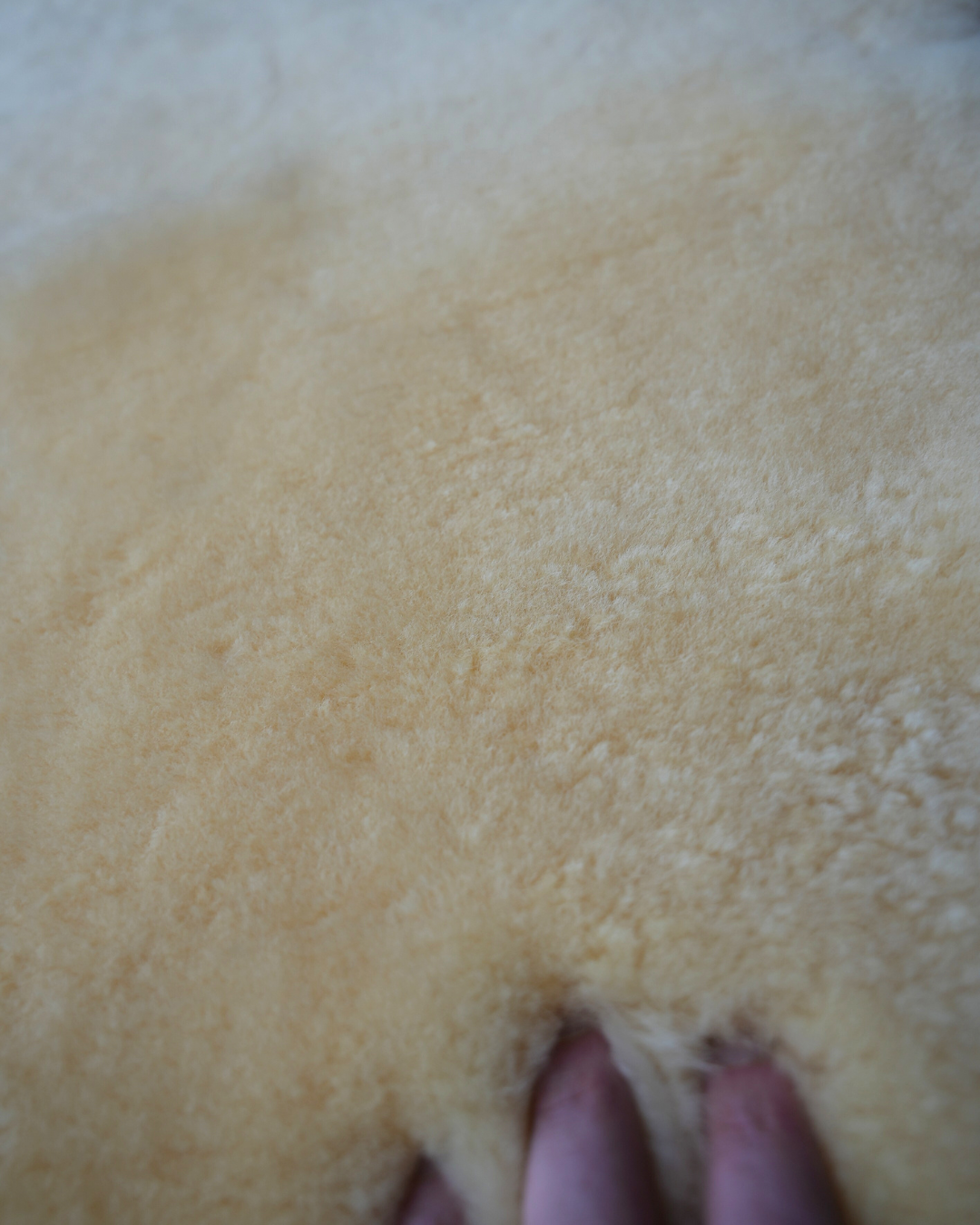 Exotic Romney Wool Sheepskin
