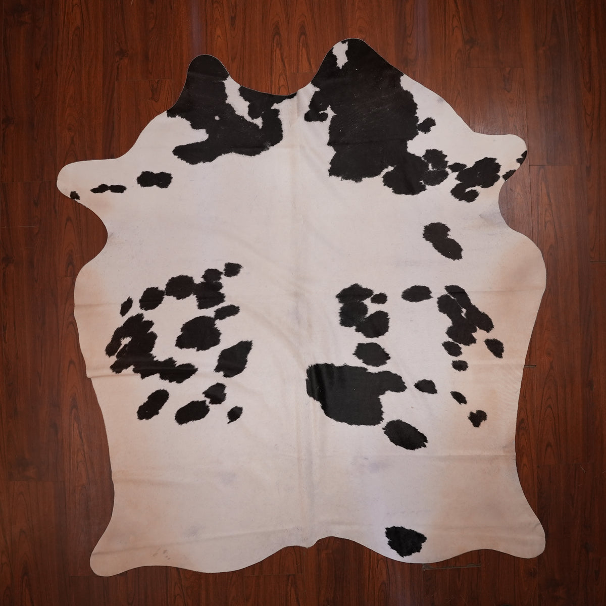 Spotted Black cow hide rug, 209 x 184 cm, genuine cowhide