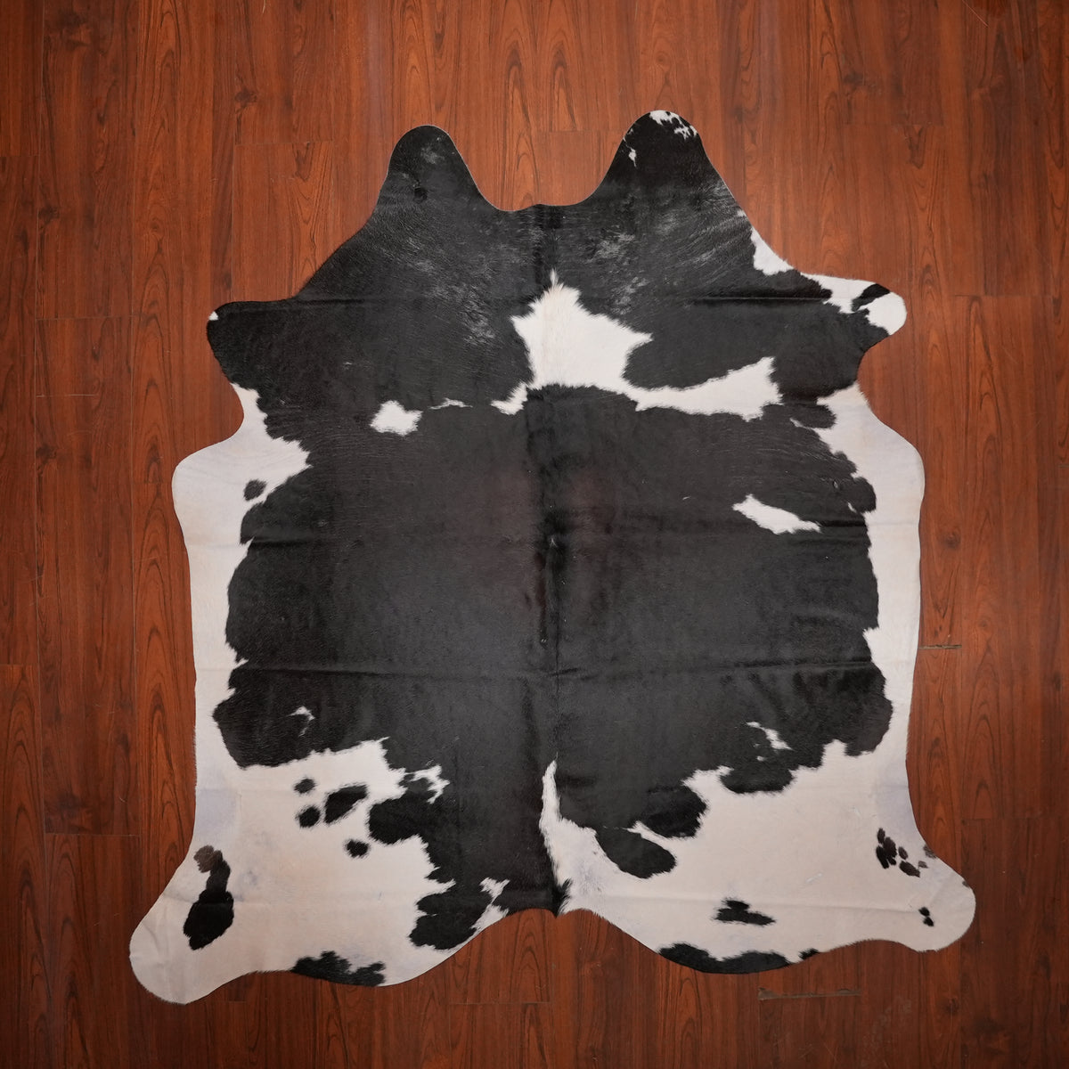 Bold Monochrome Black cow hide rug, 214 x 198 cm, genuine cowhide