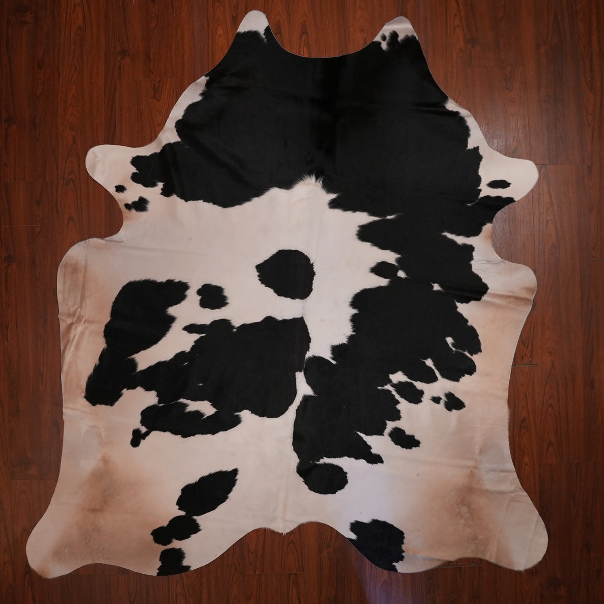 High-Contrast Black cow hide rug, 233 x 214 cm, genuine cowhide