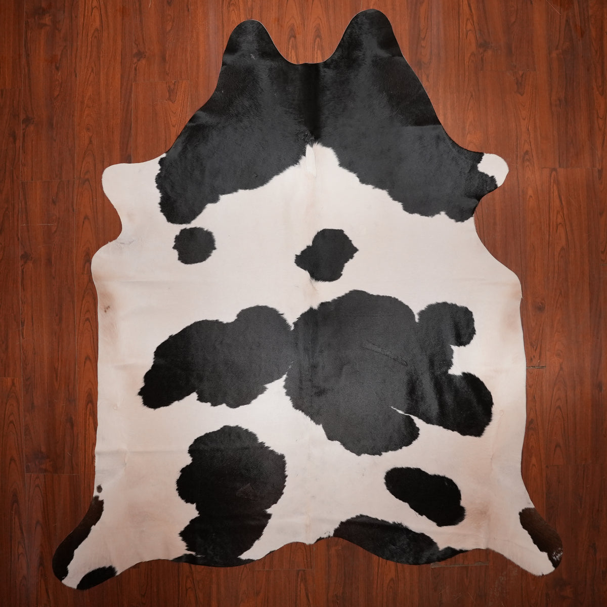 High-Contrast Black cow hide rug, 248 x 214 cm, genuine cowhide