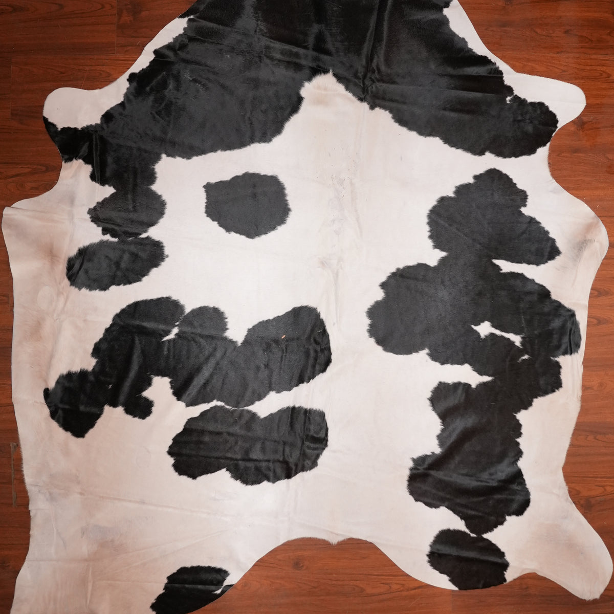 High-Contrast Black cow hide rug, 279 x 227 cm, genuine cowhide