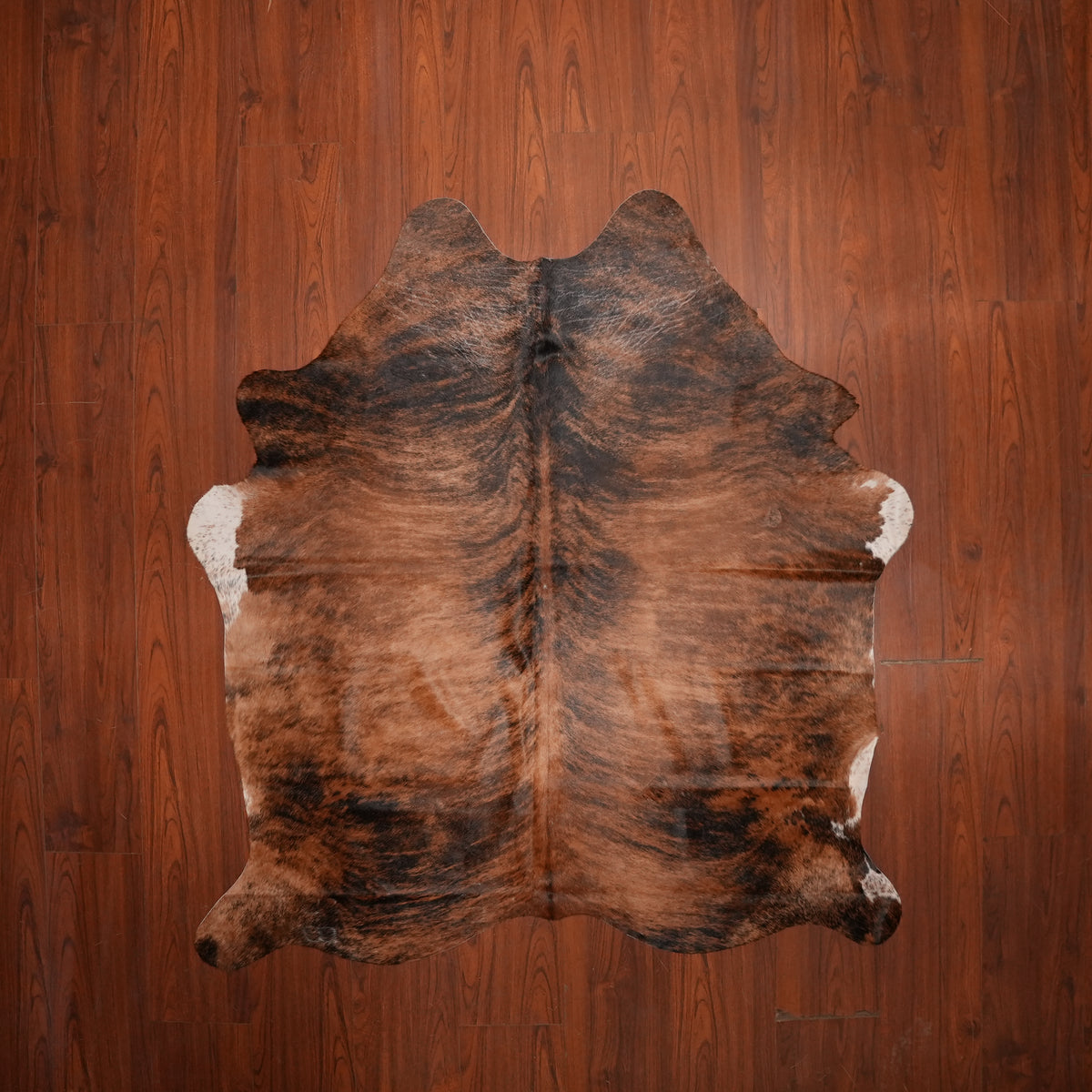 Warm Chestnut Brindle cow hide rug, 182 x 160 cm, genuine cowhide