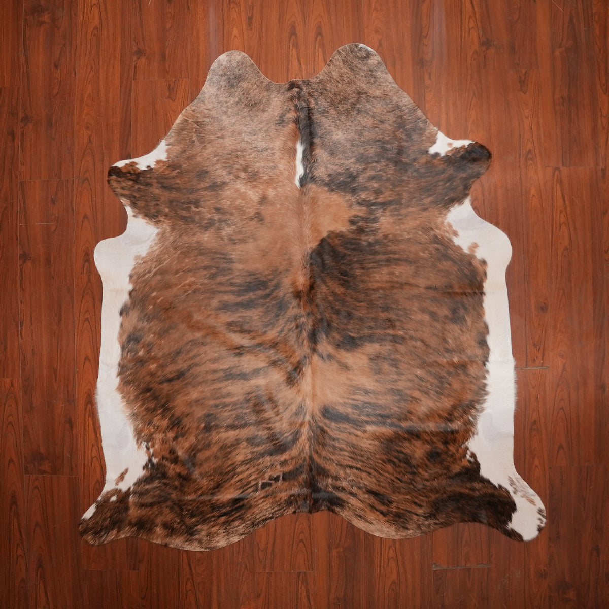 Rich Chestnut Brindle cow hide rug, 203 x 190 cm, genuine cowhide