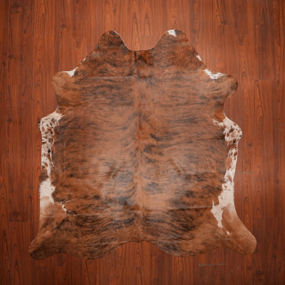 Rich Chestnut Brindle cow hide rug, 203 x 202 cm, genuine cowhide
