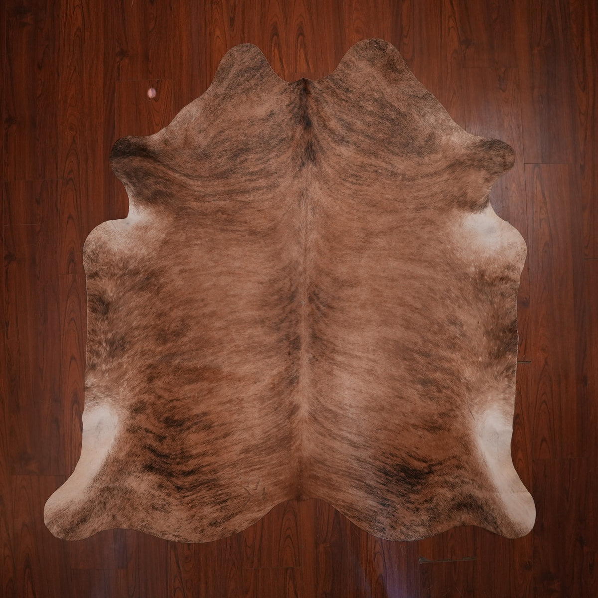 Warm Chestnut Brindle cow hide rug, 209 x 202 cm, genuine cowhide