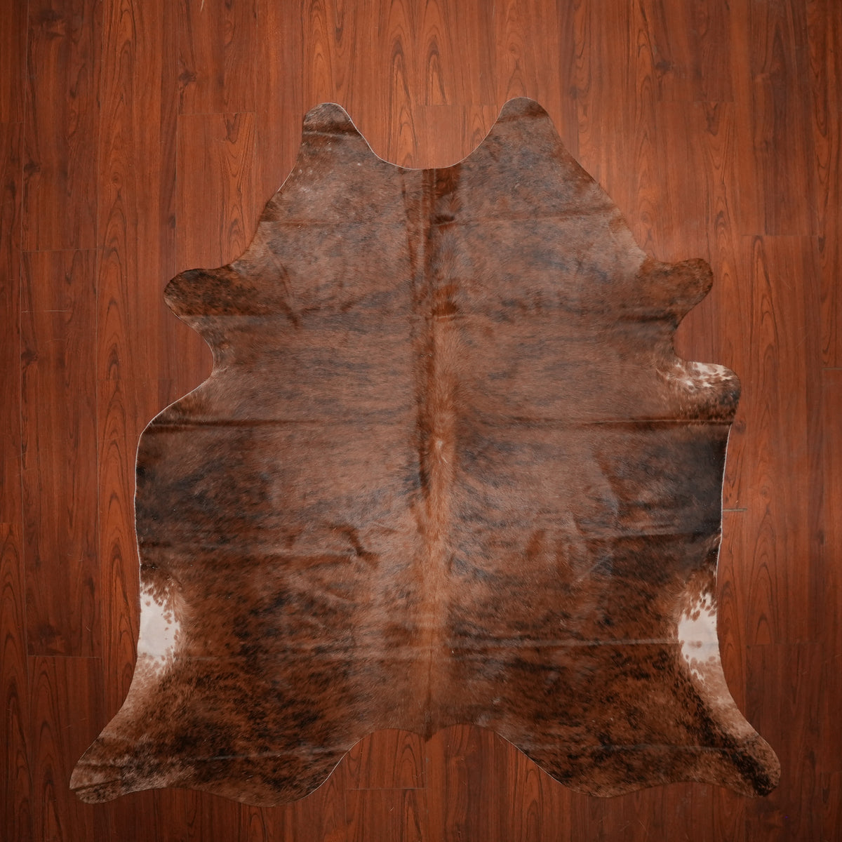 Rich Chestnut Brindle cow hide rug, 210 x 216 cm, genuine cowhide