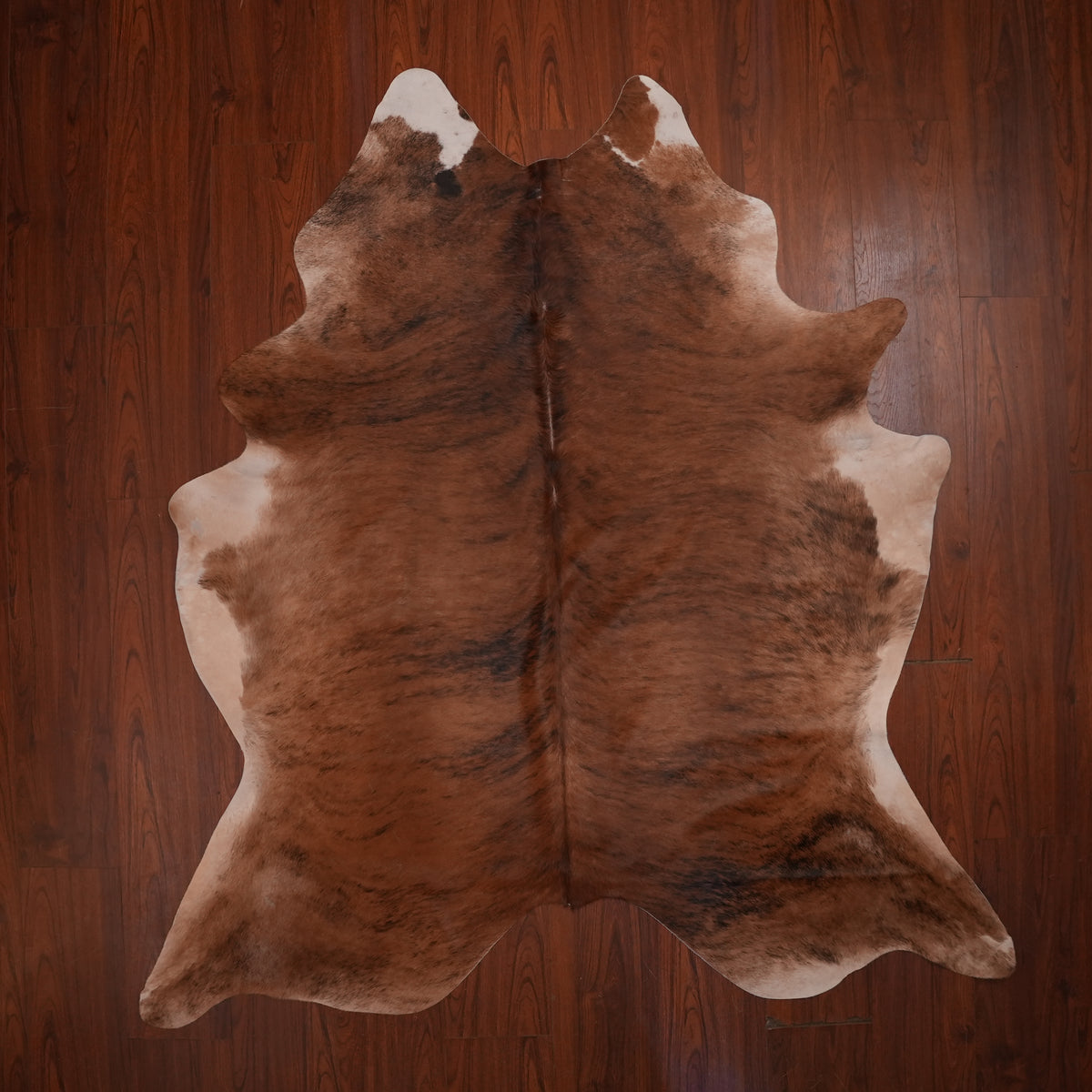 Rich Chestnut Brindle cow hide rug, 212 x 198 cm, genuine cowhide