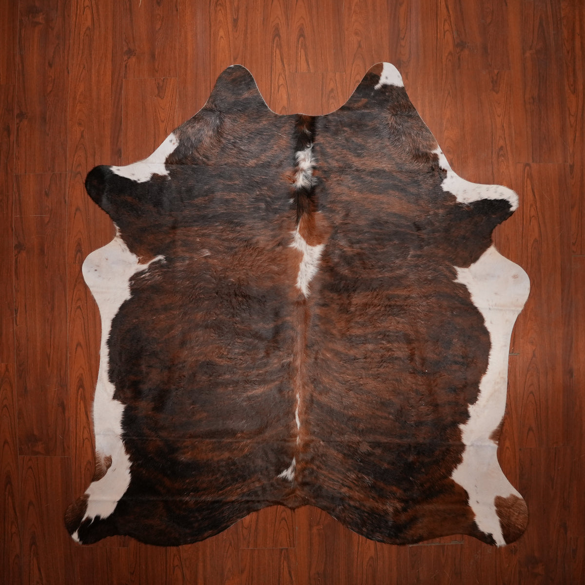 Dark Tiger-Striped Brindle cow hide rug, 214 x 198 cm, genuine cowhide