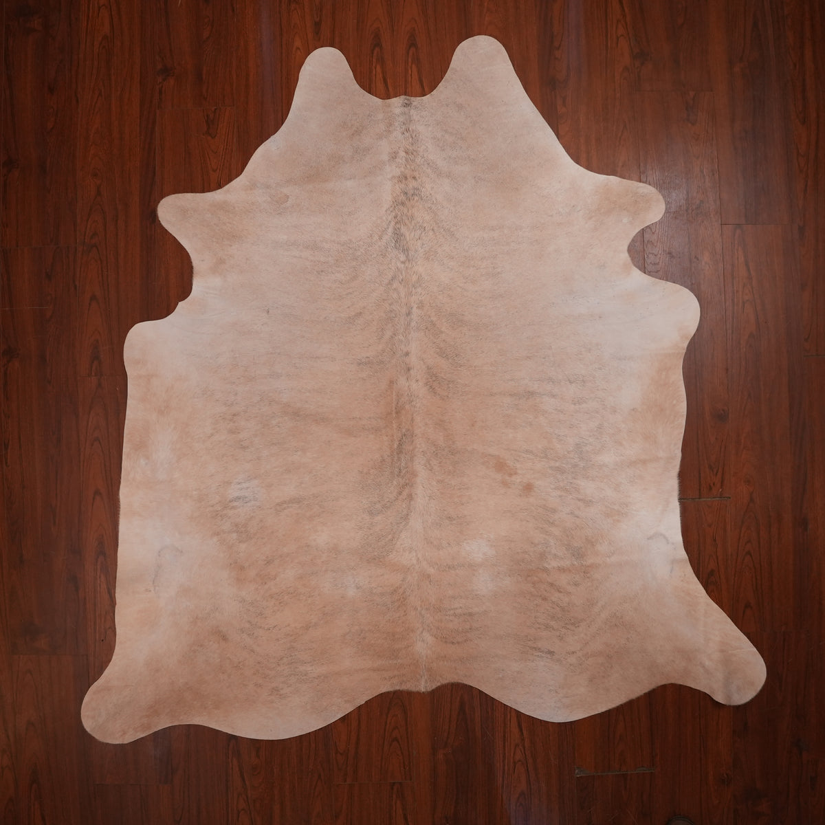 Pale Sand Brindle cow hide rug, 218 x 205 cm, genuine cowhide