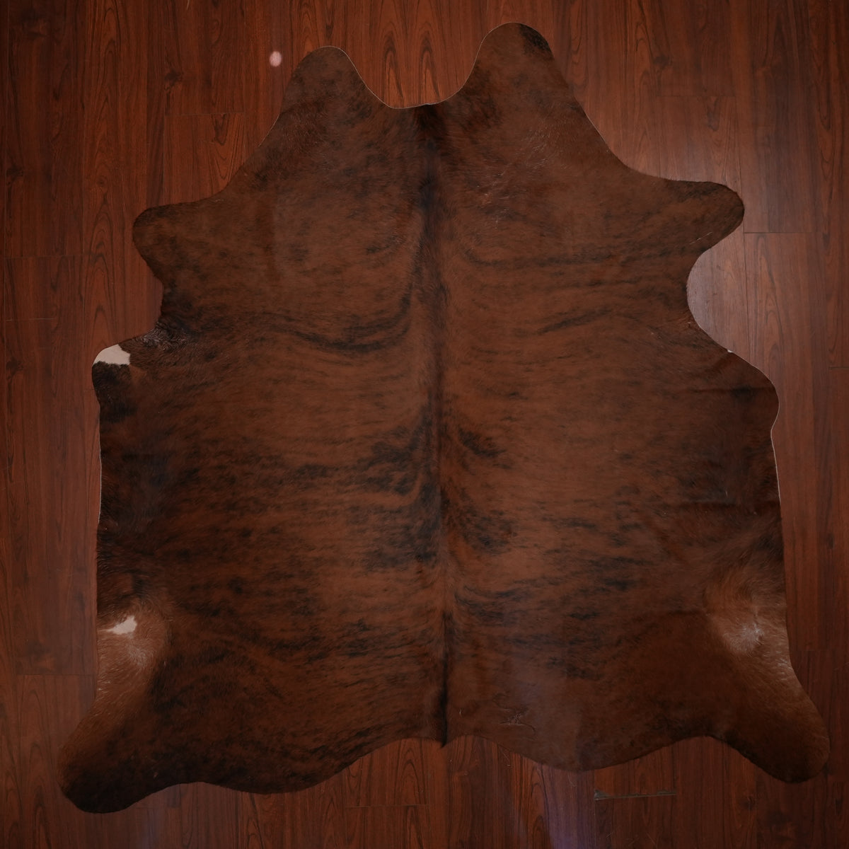 Rich Mahogany Brindle cow hide rug, 218 x 229 cm, genuine cowhide