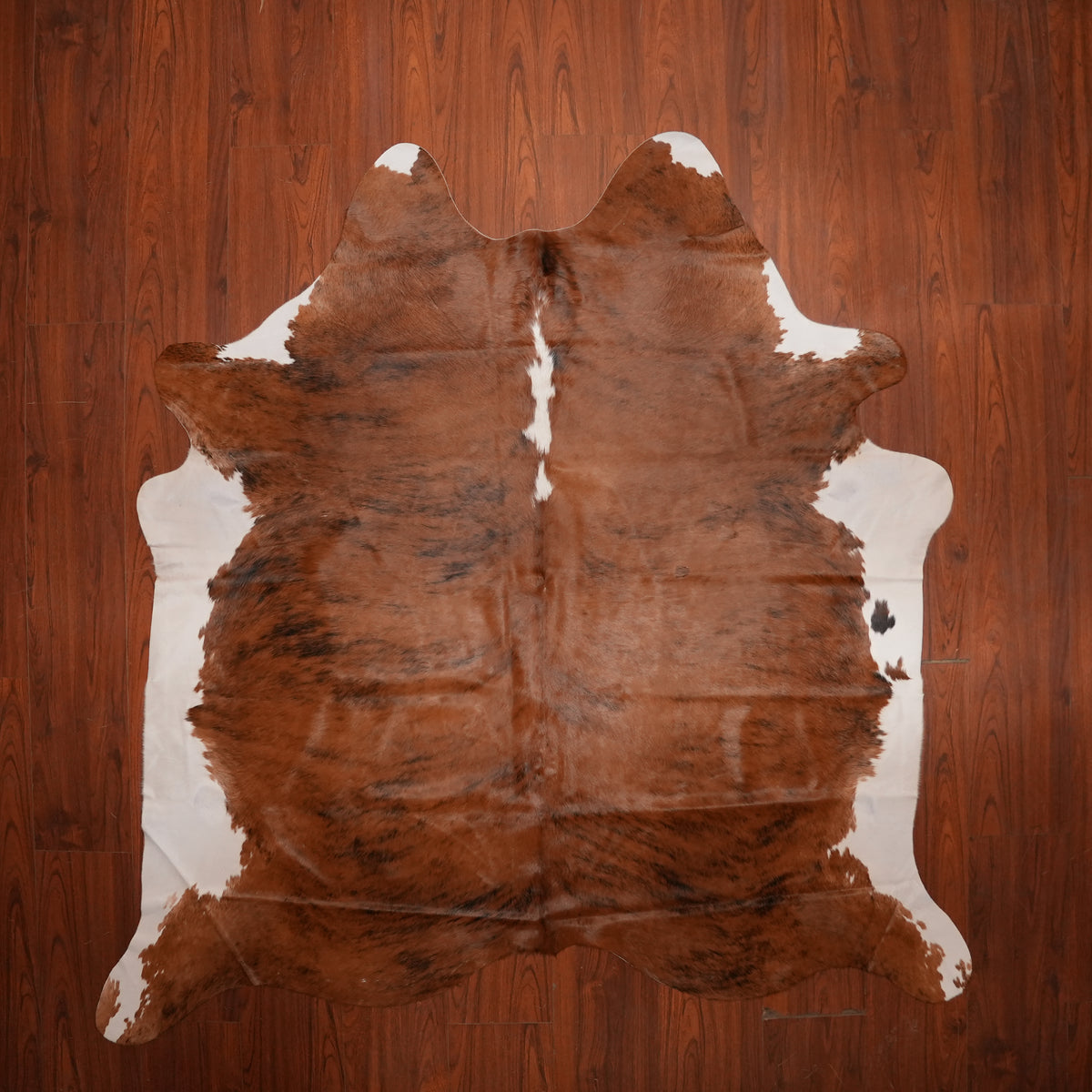 Rich Chestnut Brindle cow hide rug, 219 x 203 cm, genuine cowhide