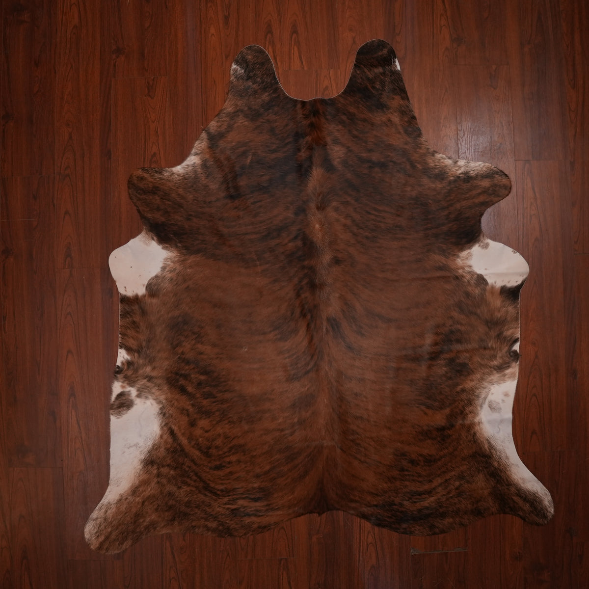 Rich Mahogany Brindle cow hide rug, 221 x 196 cm, genuine cowhide