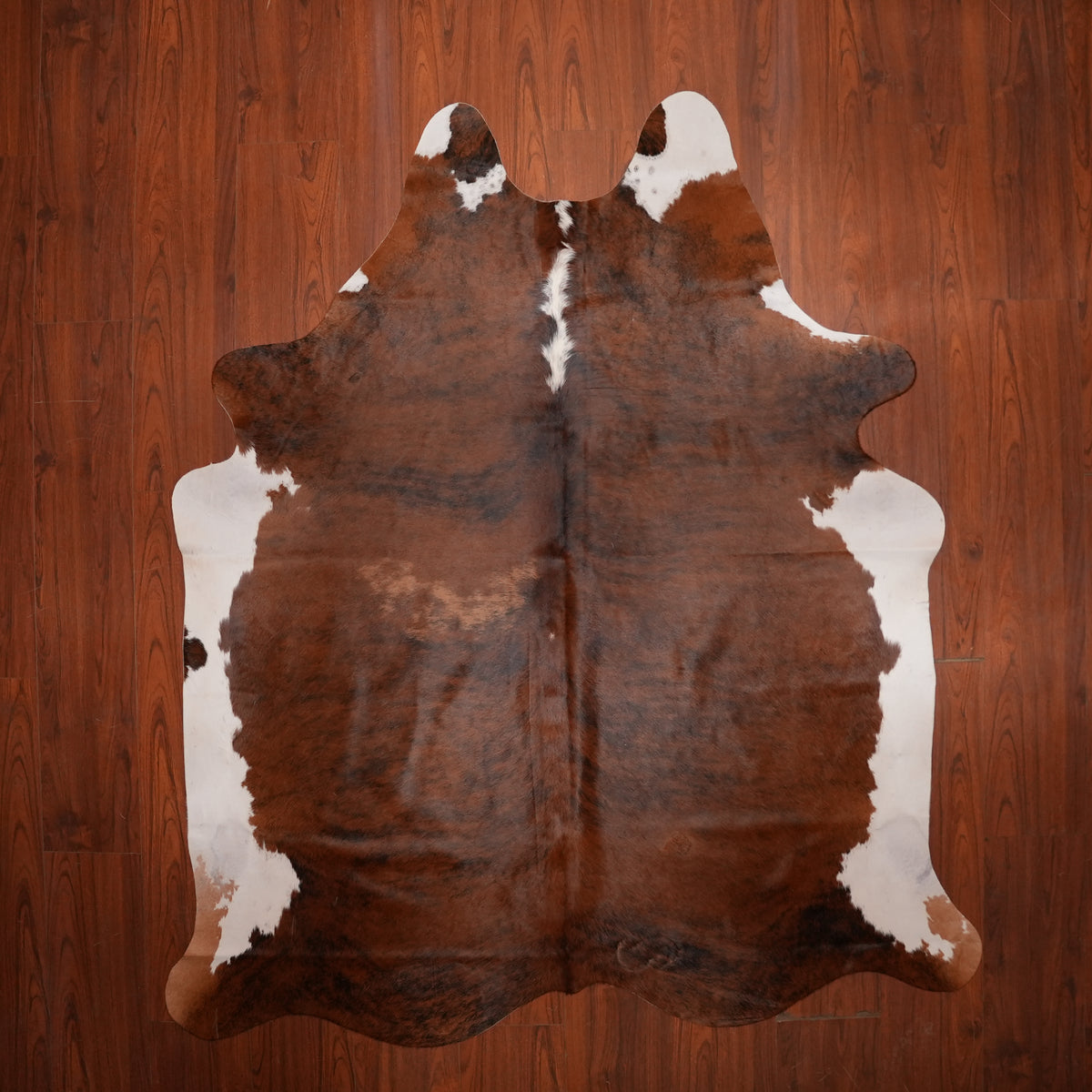 Rich Chestnut Brindle cow hide rug, 222 x 187 cm, genuine cowhide
