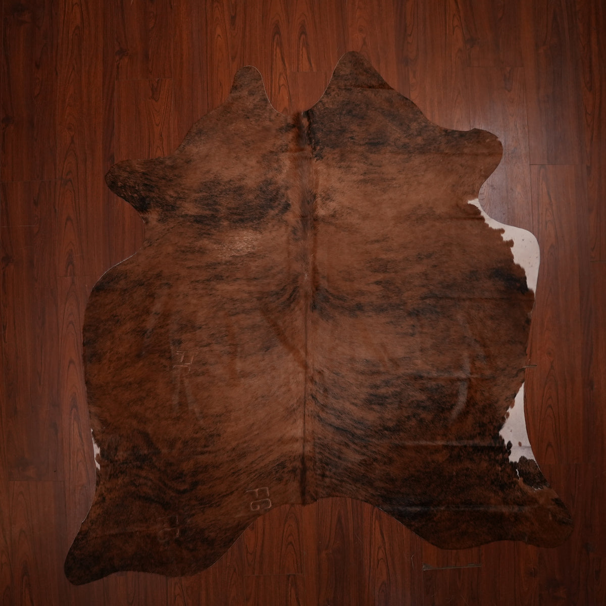 Rich Chestnut Brindle cow hide rug, 222 x 209 cm, genuine cowhide