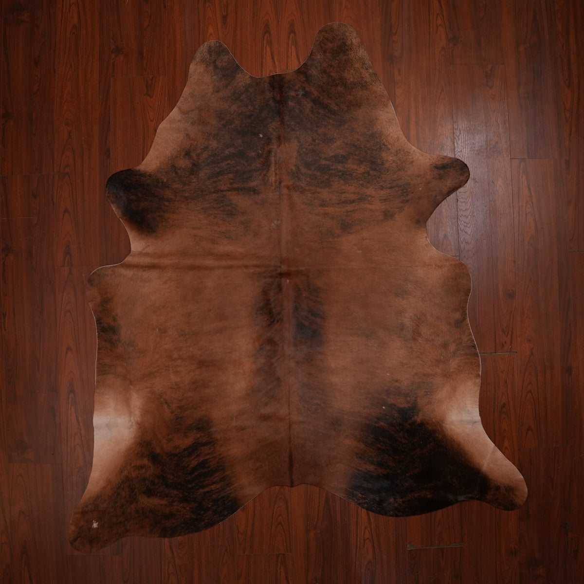 Rich Chestnut Brindle cow hide rug, 224 x 194 cm, genuine cowhide