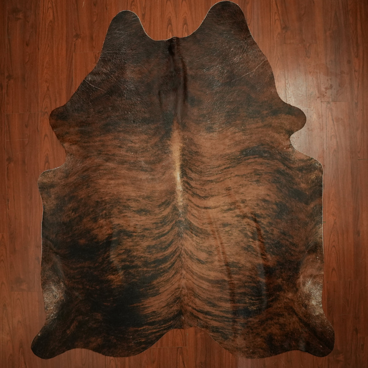 Rich Chestnut Brindle cow hide rug, 241 x 209 cm, genuine cowhide