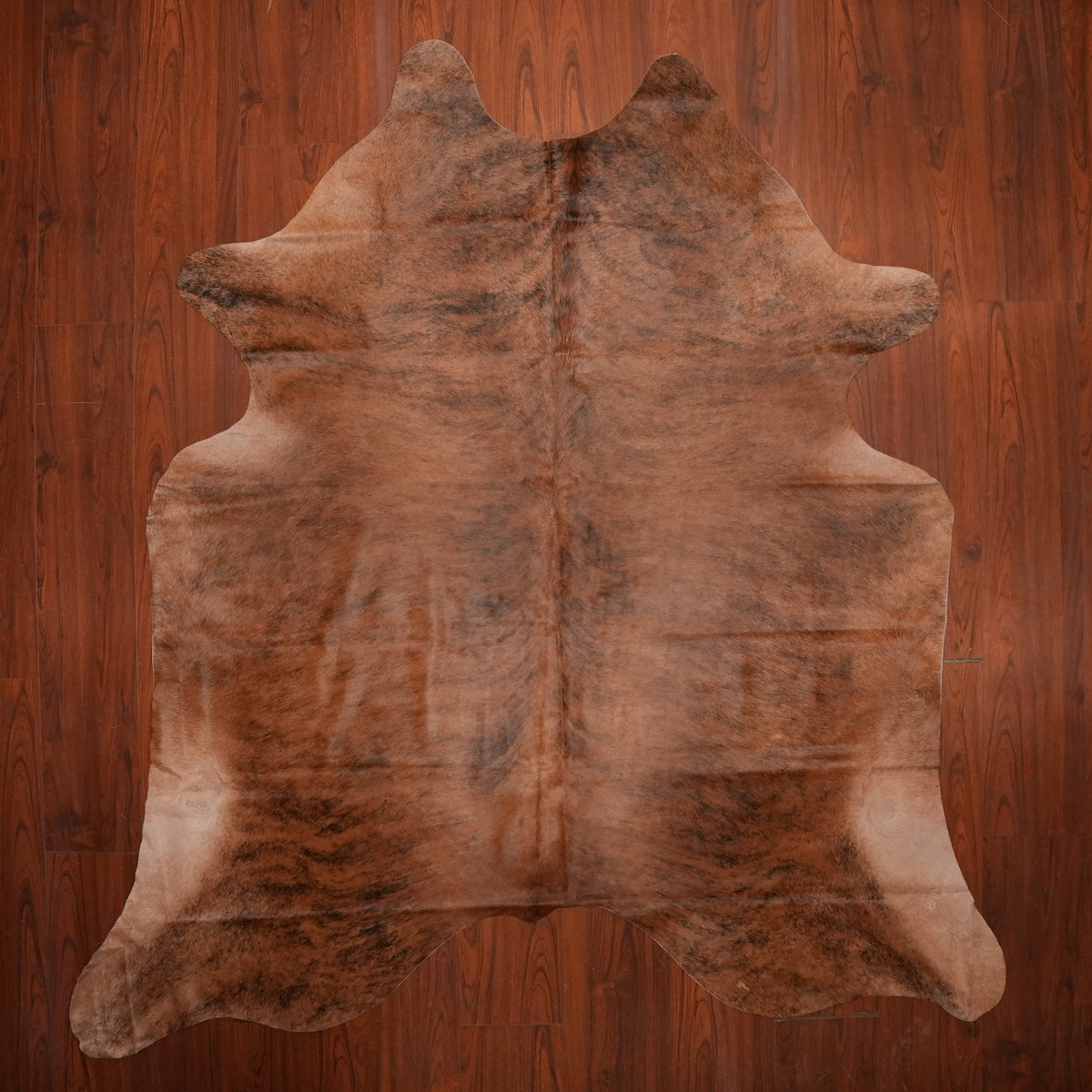 Warm Chestnut Brindle cow hide rug, 249 x 218 cm, genuine cowhide