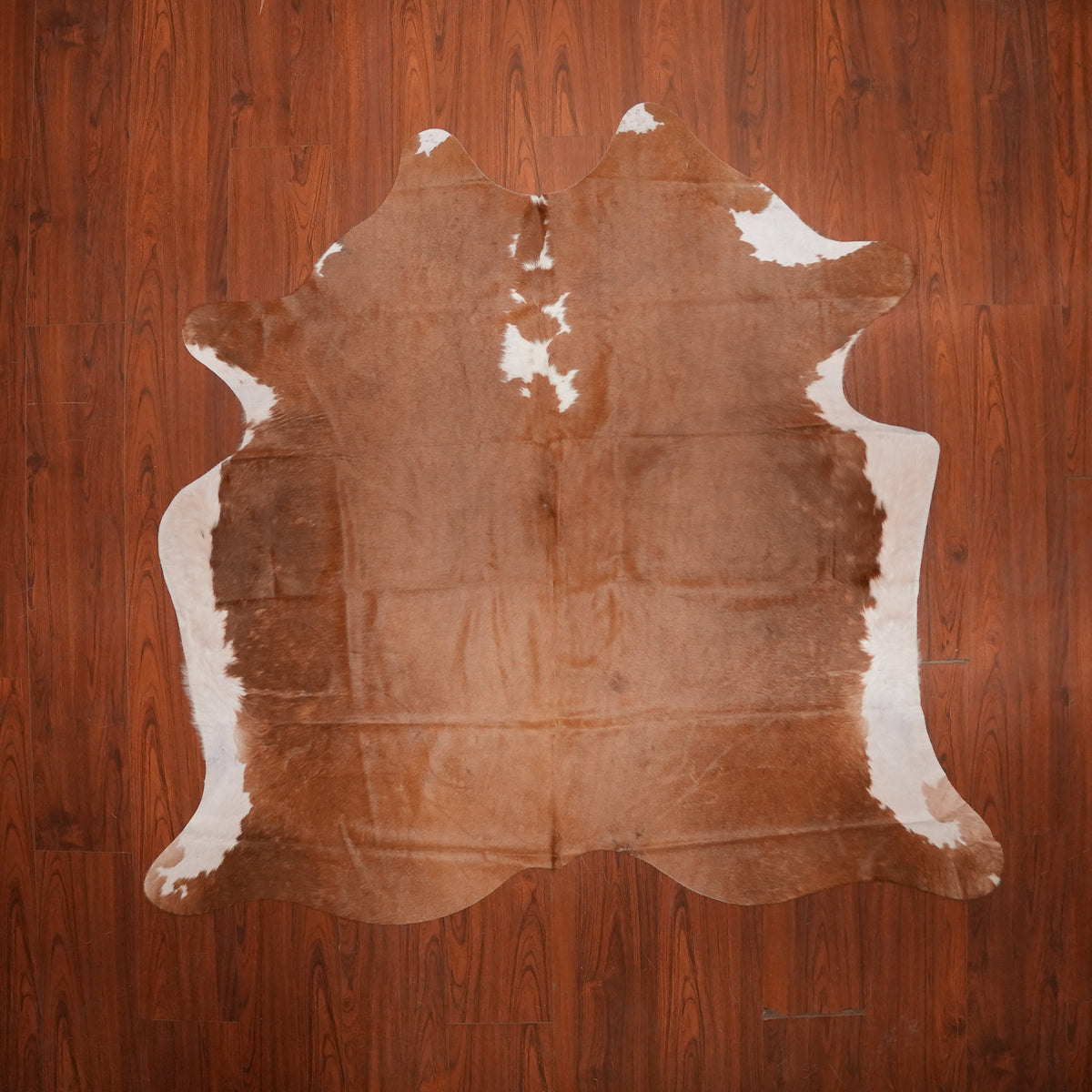 Warm Caramel Brown cow hide rug, 181 x 198 cm, genuine cowhide