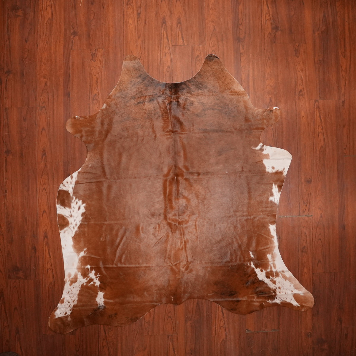 Rich Chestnut Brown cow hide rug, 189 x 188 cm, genuine cowhide