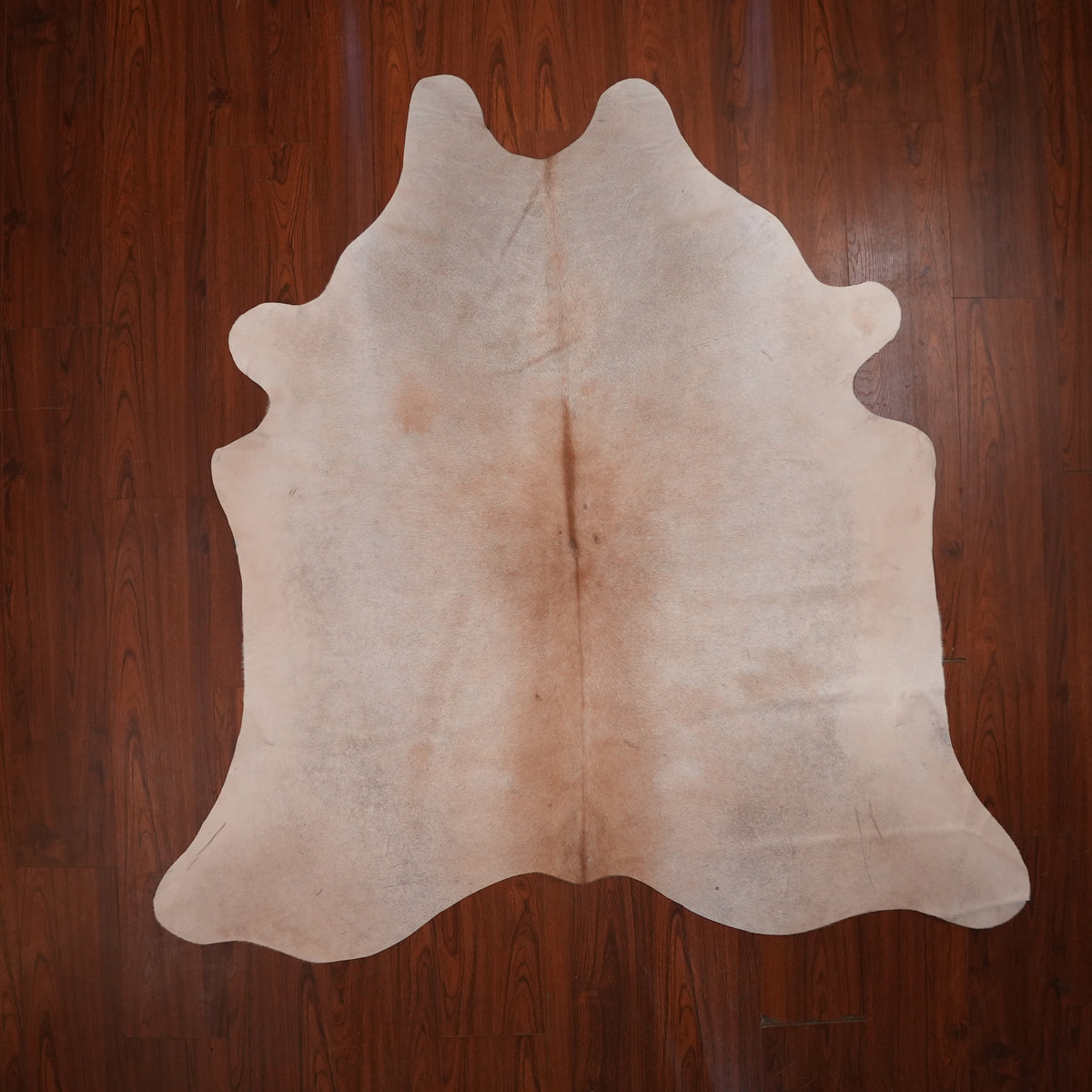 Pale Cream Brown cow hide rug, 200 x 198 cm, genuine cowhide