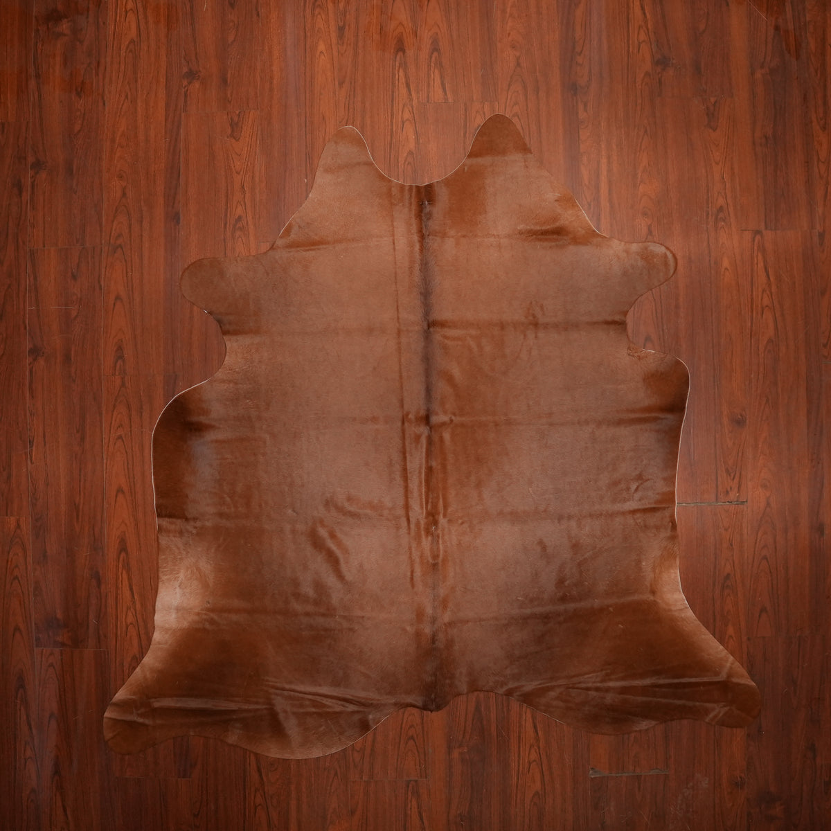 Rich Chestnut Brown cow hide rug, 202 x 198 cm, genuine cowhide