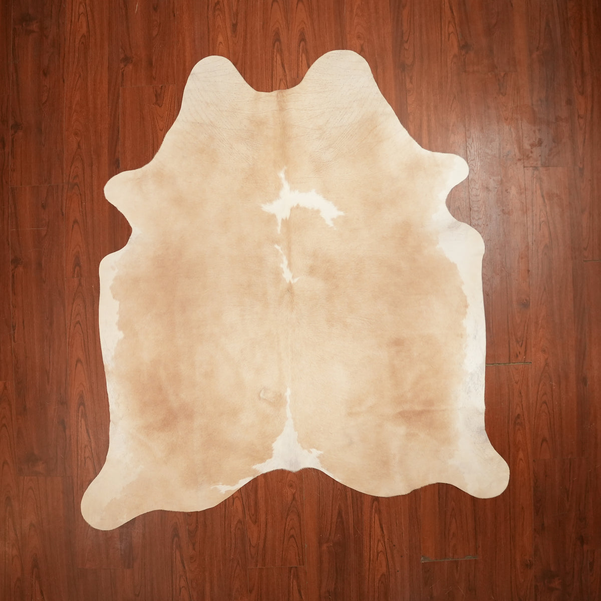 Champagne Beige Brown cow hide rug, 203 x 180 cm, genuine cowhide