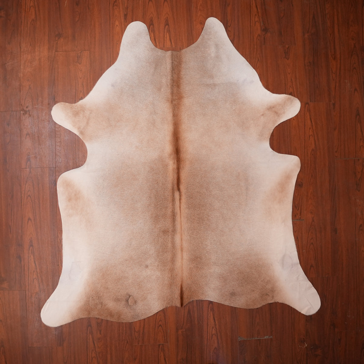 Soft Caramel Brown cow hide rug, 206 x 194 cm, genuine cowhide