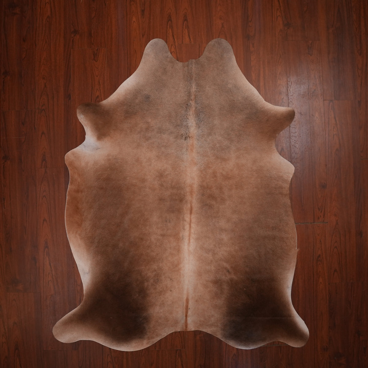 Warm Caramel Brown cow hide rug, 207 x 171 cm, genuine cowhide