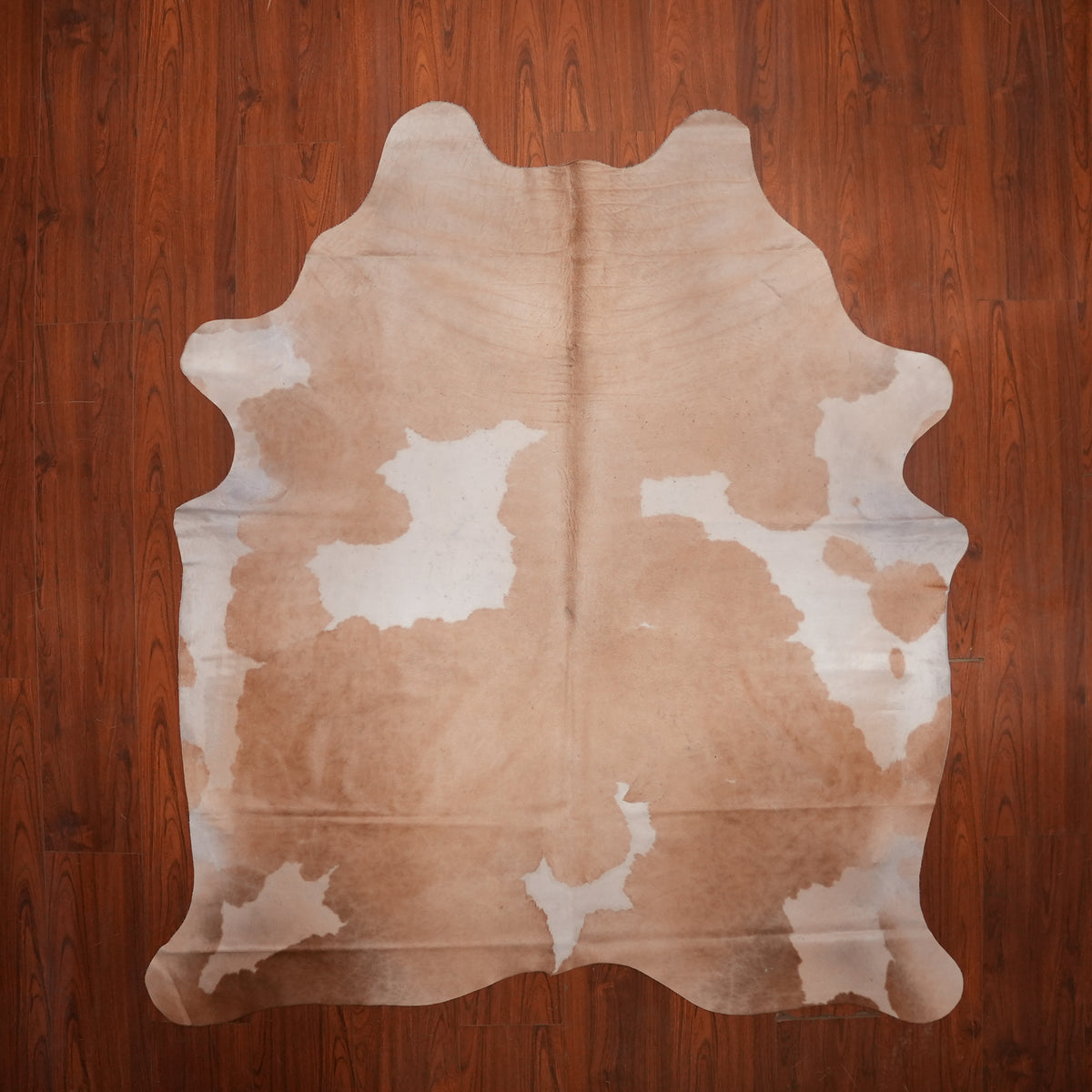 Pale Caramel Brown cow hide rug, 208 x 187 cm, genuine cowhide