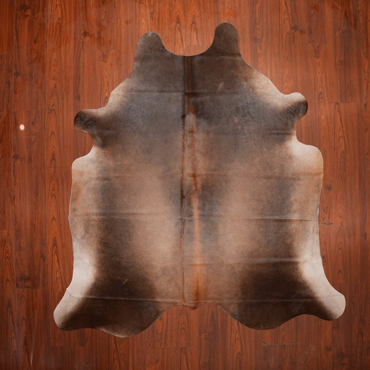 Smoky Taupe Brown cow hide rug, 211 x 197 cm, genuine cowhide