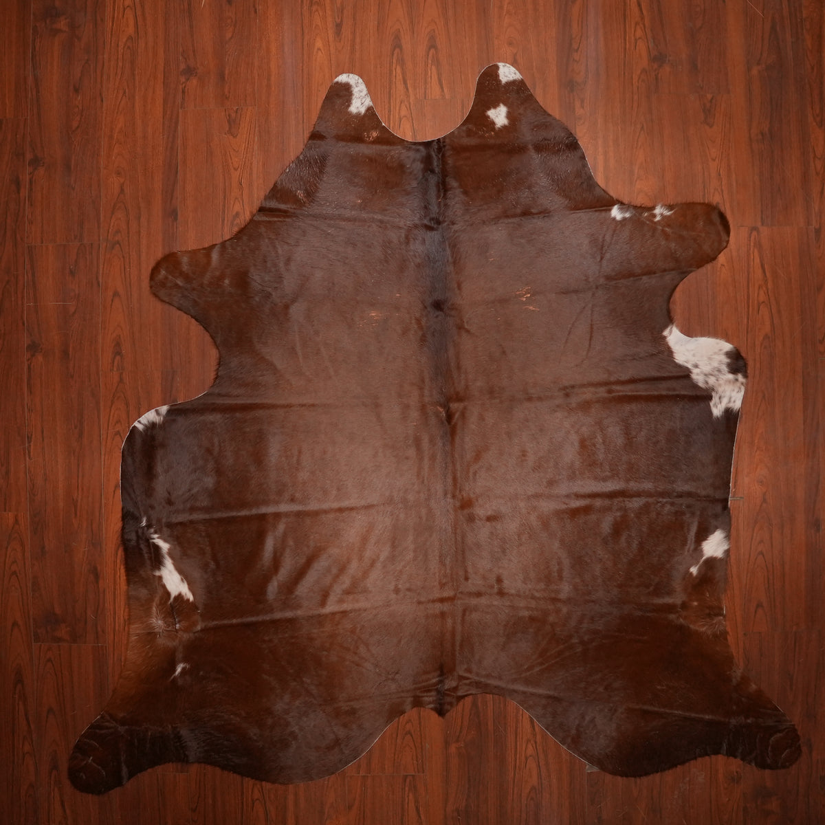 Rich Chocolate Brown cow hide rug, 214 x 224 cm, genuine cowhide
